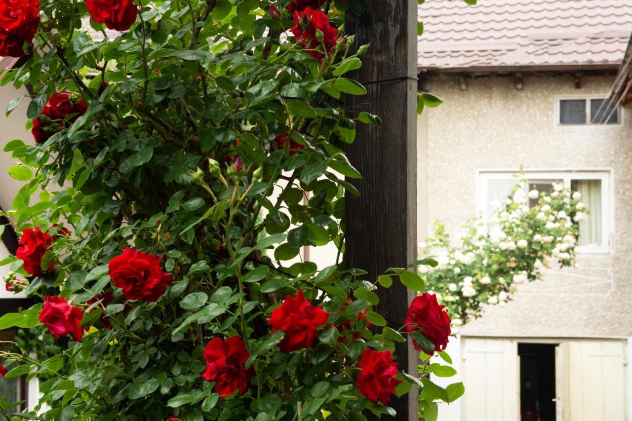 Pension Andra'S House ホレズ エクステリア 写真