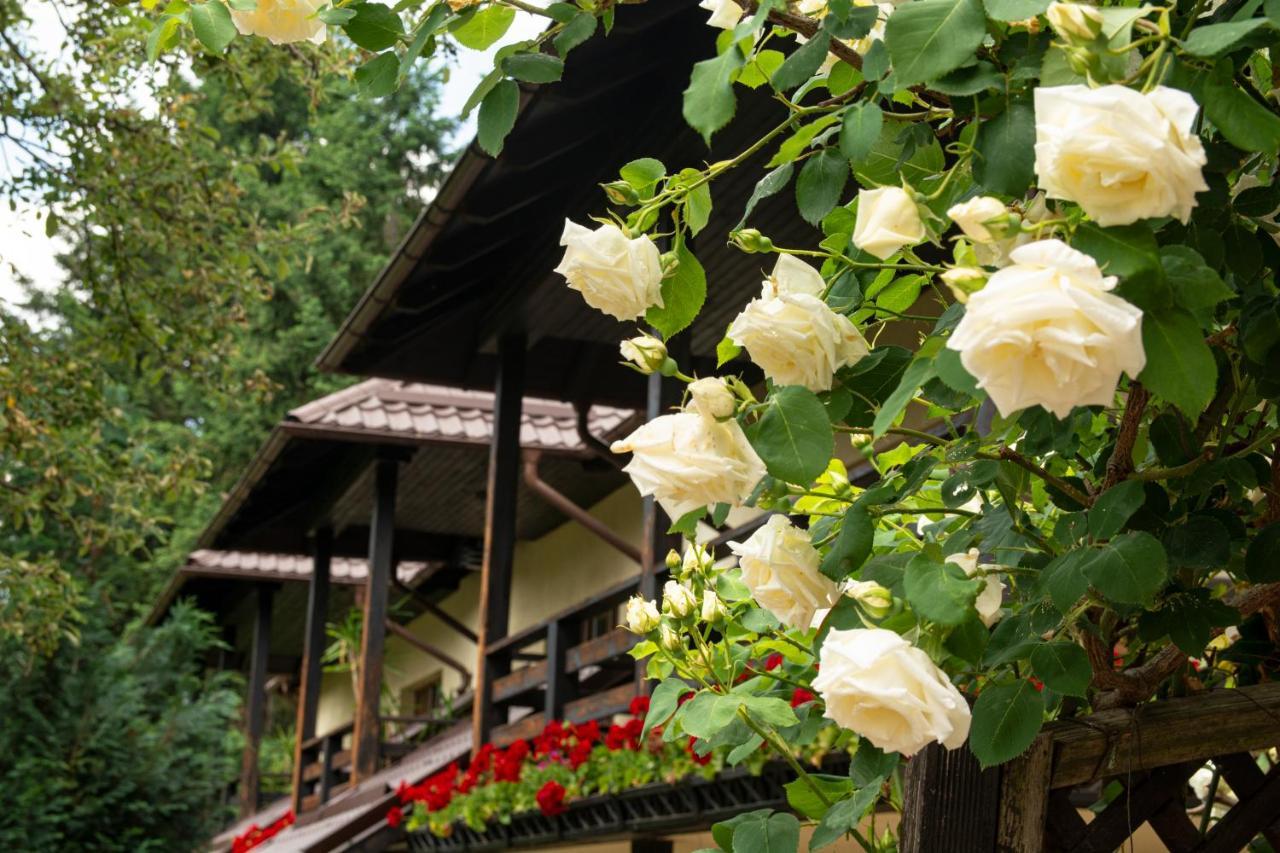Pension Andra'S House ホレズ エクステリア 写真